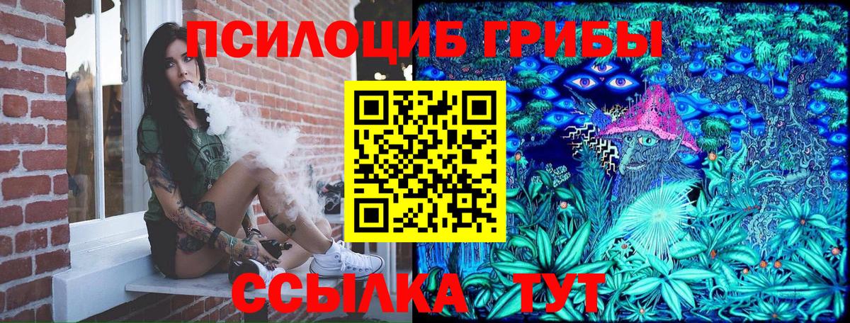 Галлюциногенные грибы мицелий Кинешма