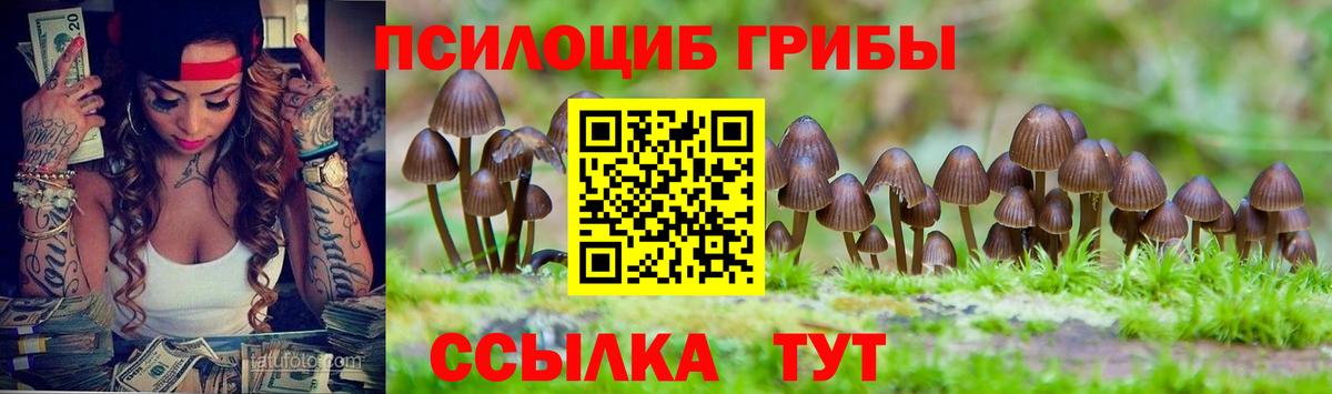 Кинешма  Галлюциногенные грибы прущие грибы  Галлюциногенные грибы Psilocybe  Вход с VPN 